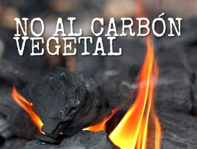 No al carbón vegetal ilegal !